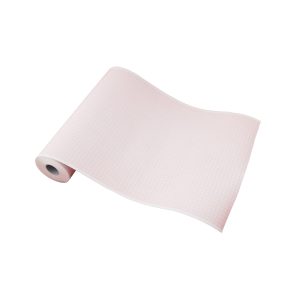 Papel EGC rollo 215mm x 25m x 16mm